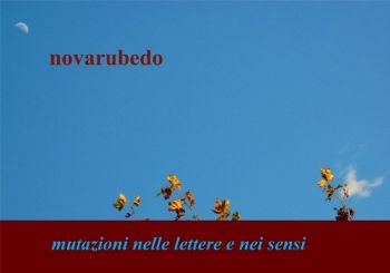 IL POZZO DI GIANCARLO MICHELI